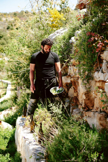 In_the_Vinyards_of_Lebanon_01-1600x2405