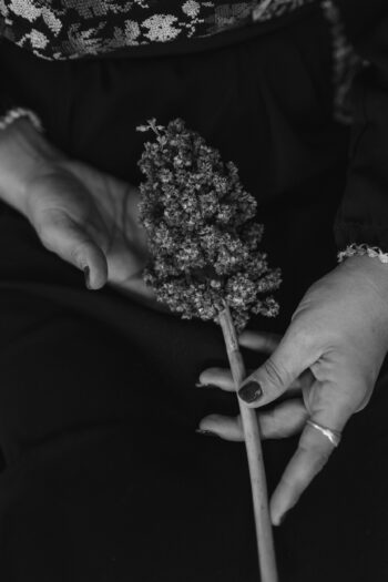 New_Roots_07-350x525